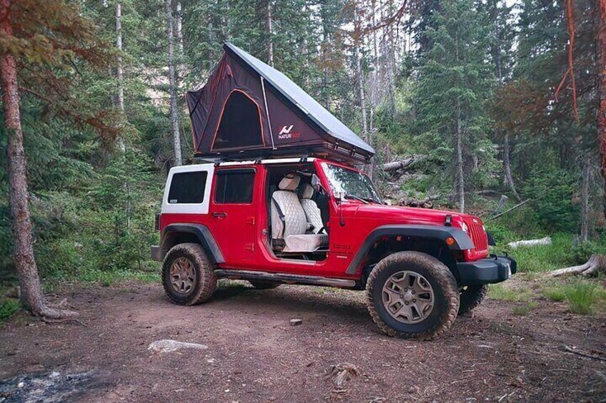 We can do half and half with the doors if you have someone more comfortable with doors on but you still want to be just a little wild.