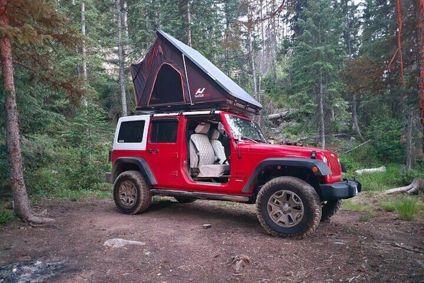 We can do half and half with the doors if you have someone more comfortable with doors on but you still want to be just a little wild.