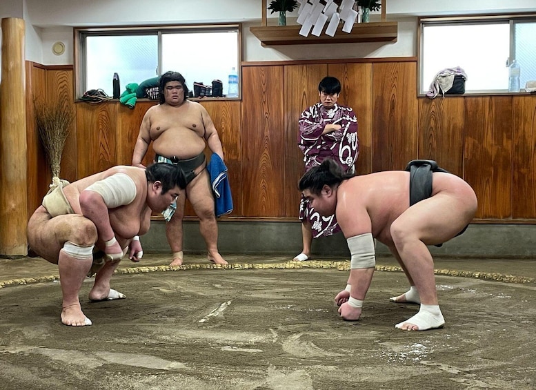 Picture 5 for Activity Tokyo: Real Sumo Morning Practice Tour at Yokozuna Stable