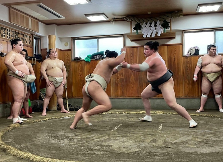 Picture 8 for Activity Tokyo: Real Sumo Morning Practice Tour at Yokozuna Stable