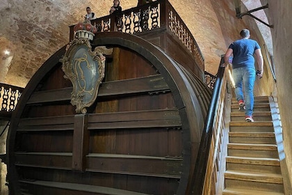 Relaxed Combine Walking Heidelberg City and Castle Tour