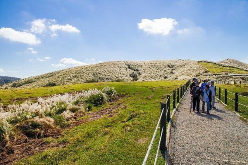 Yangmingshan Hiking Tour