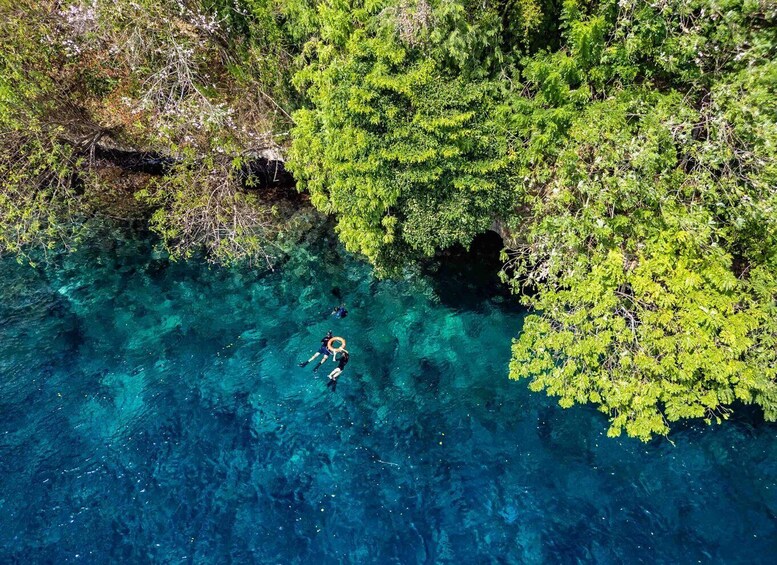 Picture 17 for Activity Bali: Nusa Penida Speedboat Trip with Snorkeling and Tour