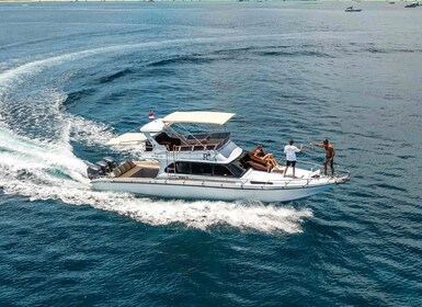 Bali: Nusa Penida Speedboat Trip with Snorkeling and Tour