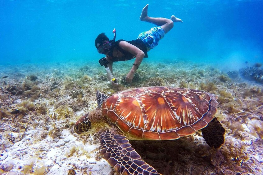 Picture 8 for Activity Bali: Nusa Penida Speedboat Trip with Snorkeling and Tour