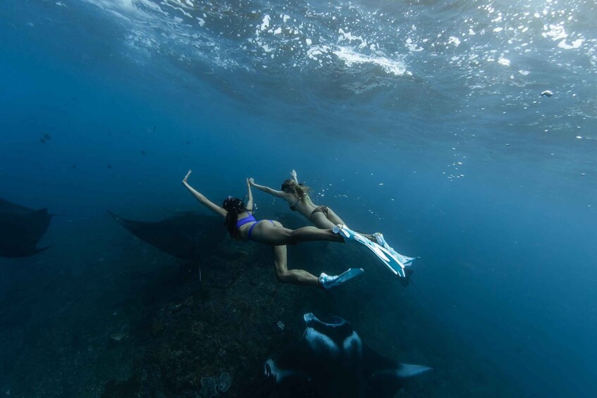 Picture 3 for Activity Bali: Nusa Penida Speedboat Trip with Snorkeling and Tour