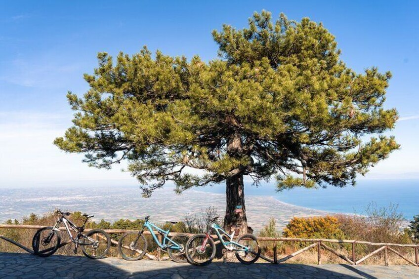 Private Guided E-Biking Tour on Mount Olympus