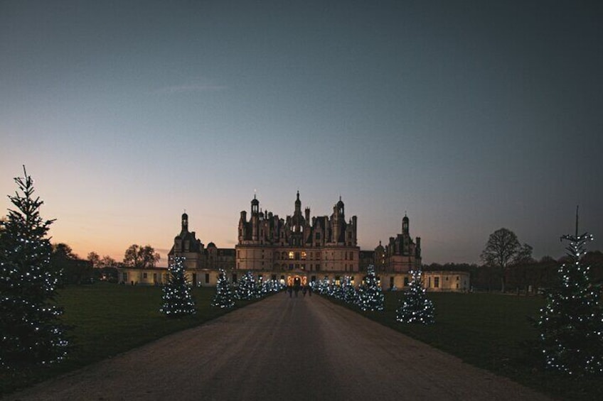 Exclusive VIP Tour in Chambord Chenonceaux and Amboise from Paris