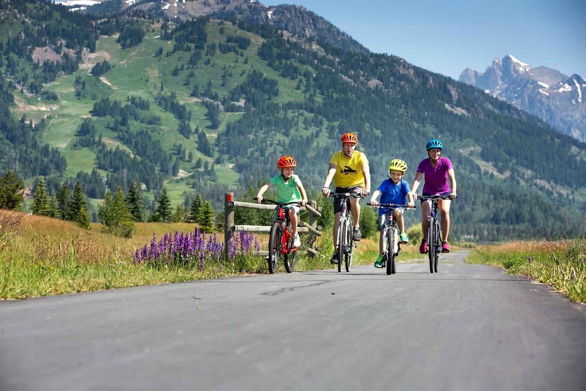 Teton Village/Wilson/Jackson: Bike Rentals with Delivery