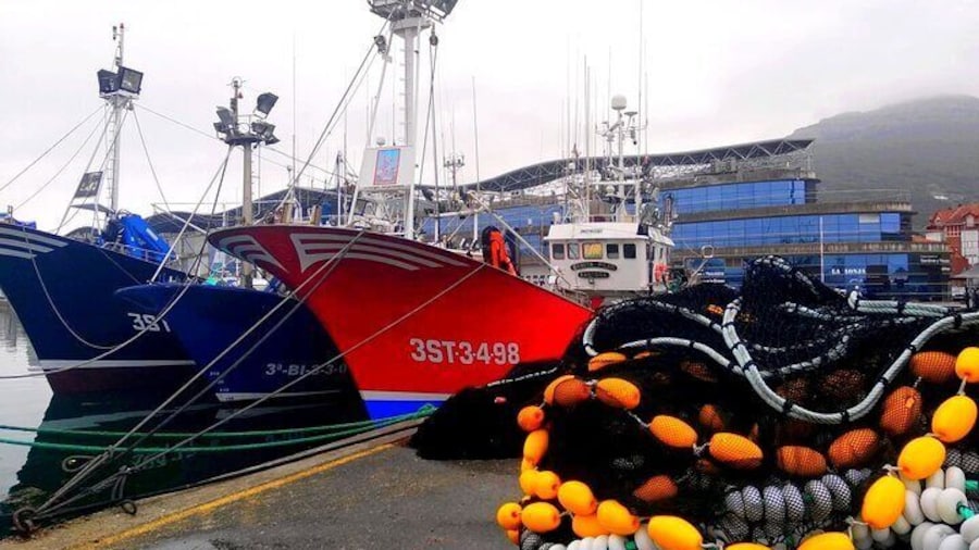 Tour of the seafaring Santoña and its fishing port