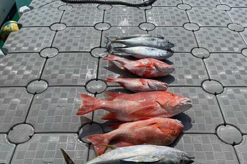 Big Game Fishing Seychelles