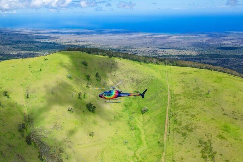 Explore the verdant trails of the Pu'u Wa'awa'a Forest Reserve