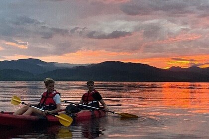 2-Hours Bioluminescence Tour by Kayak in Paquera