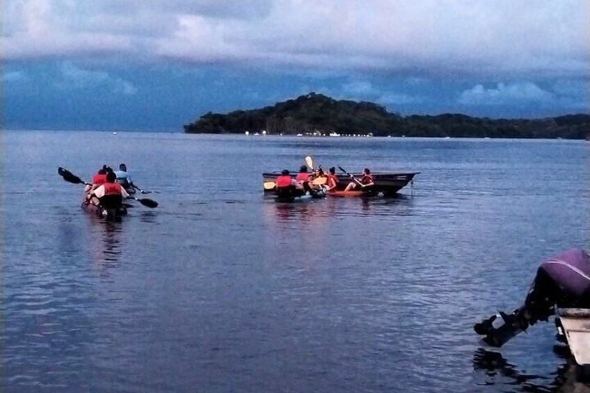 2-Hours Bioluminescence Tour by Kayak in Paquera