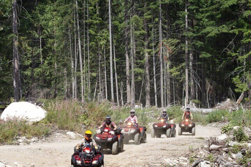 Whistler ATV Bushwhacker Tour 