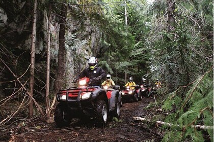 Whistler ATV Bushwhacker Tour