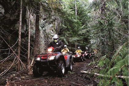 Whistler quad bike Bushwhacker Tour
