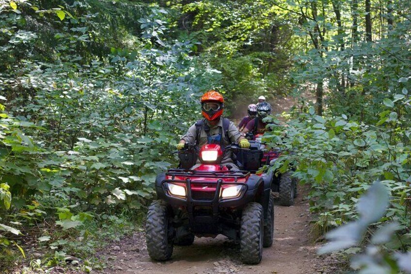 Whistler ATV Bushwhacker Tour 