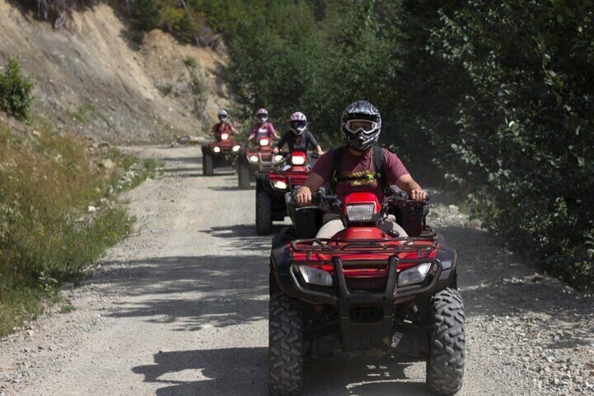 Whistler ATV Bushwhacker Tour