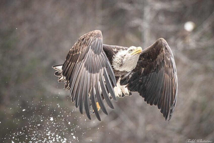 Private Full Day Photography Workshop of Fairbanks