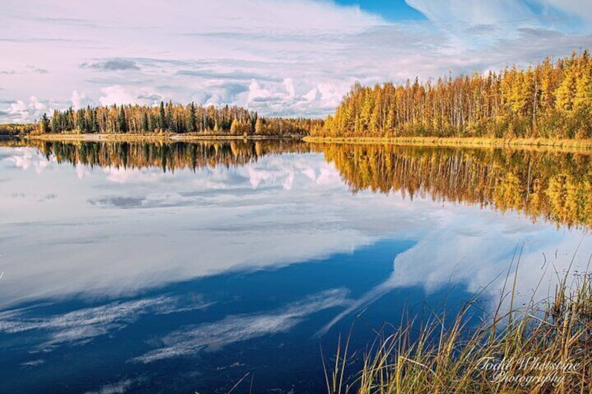 Private Full Day Photography Workshop of Fairbanks