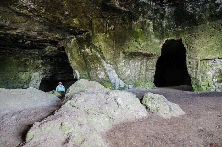 Experience through the Beaches, Caves, and Coves Mallorca
