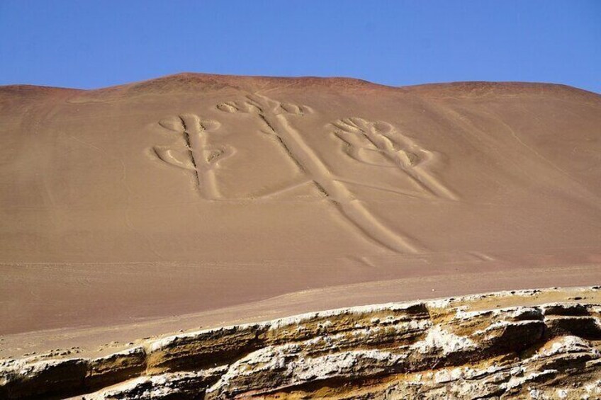 Private Tour Astonished Nazca Lines and Huacachina Oasis