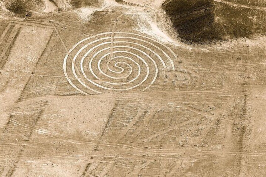 Private Tour Astonished Nazca Lines and Huacachina Oasis