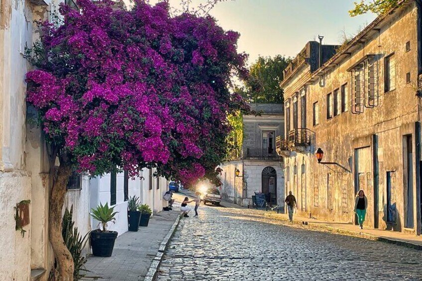 Private Tour Colonia del Sacramento from Montevideo