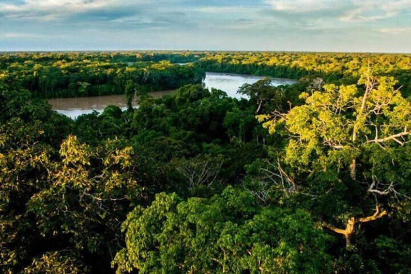 4-Day Jungle of Peru Tambopata Nature Reserve