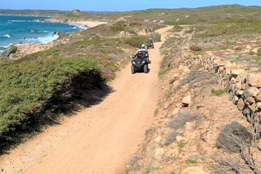 Santa Teresa di Gallura Quad Tour