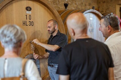 Wine Tasting of Brunello in a Historic Cellar