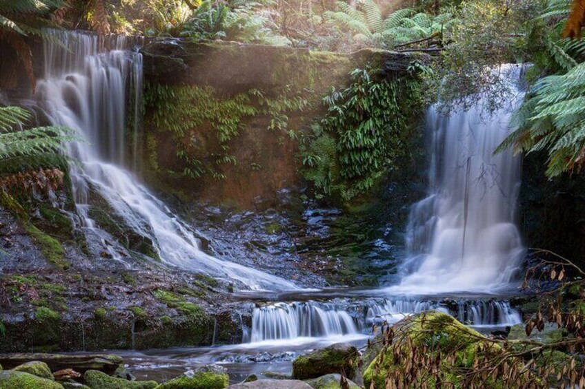 Mount Field National Park to Mona Day Tour