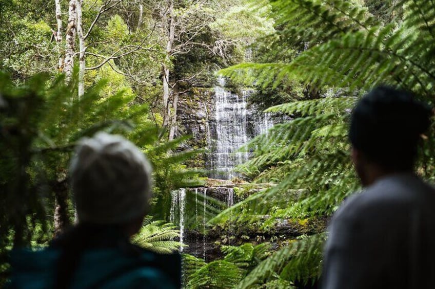 Mount Field National Park to Mona Day Tour