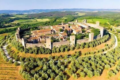 Chianti, San Gimignano and Siena Full Day Trip with Wine Tastings