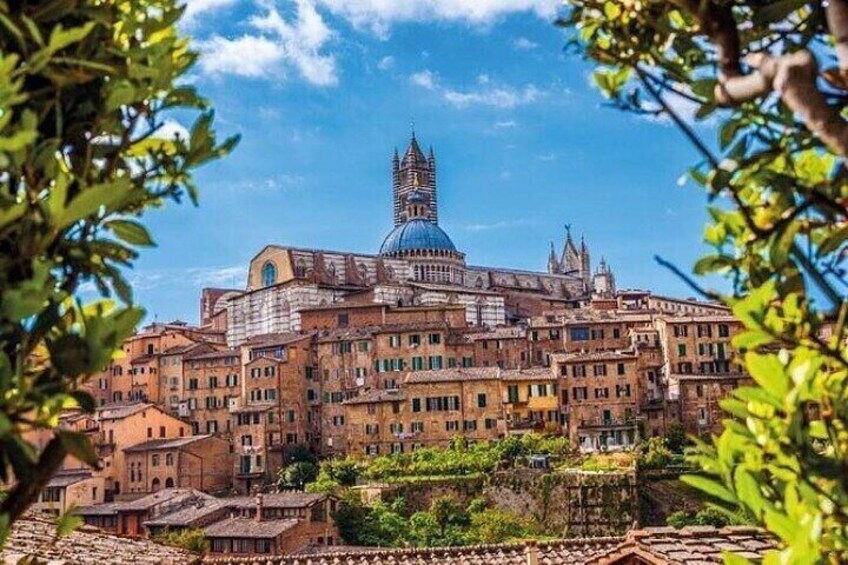 Siena, San Gimignano and Chianti Full Day Trip with Wine Tastings