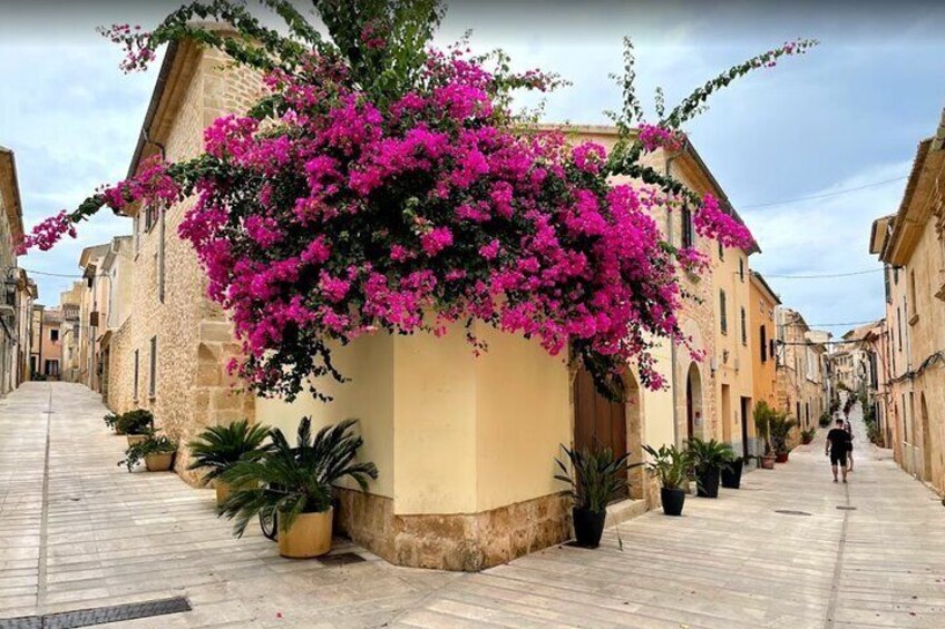 Cap de Formentor: Market, Beach and Alcudia Tour