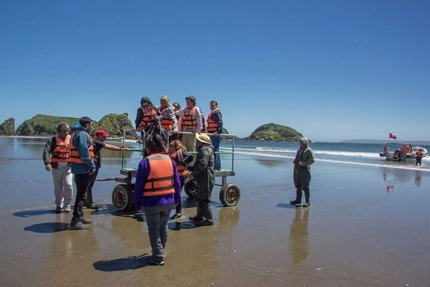 Shared Full Day Tour to Chiloé Island with Penguins