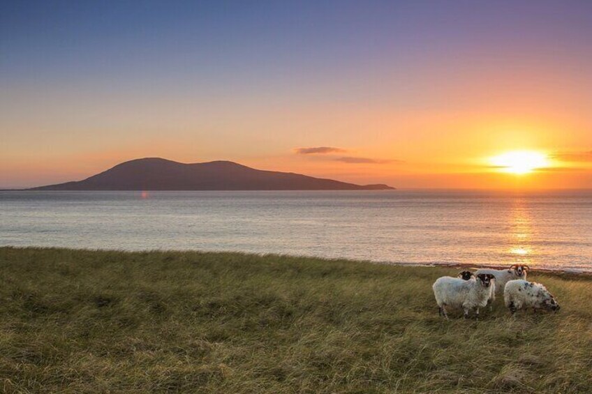 Machair, Isle of Harris