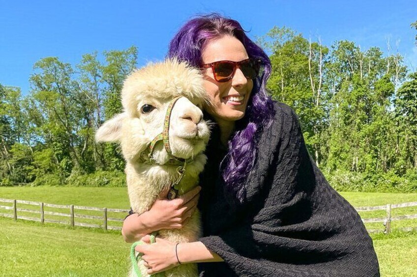 Have you hugged an alpaca today?