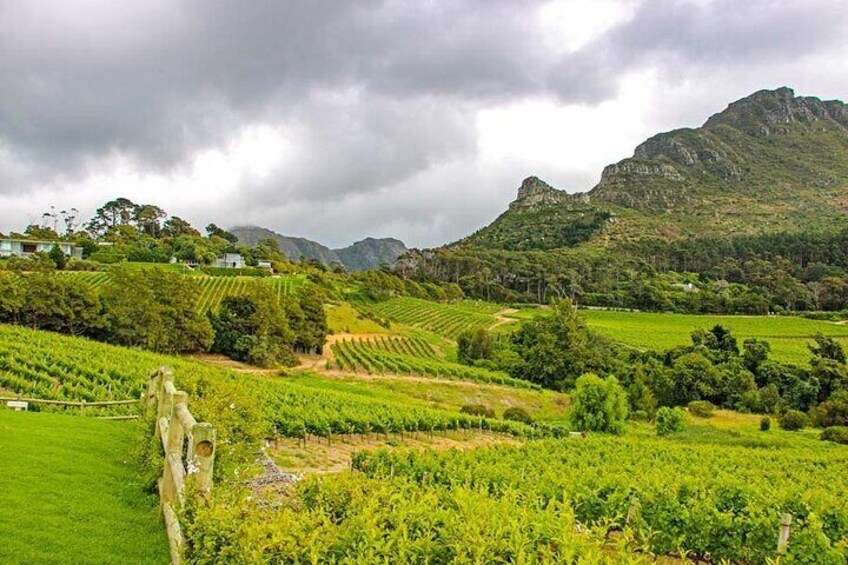 Full Day Paarl Franschhoek & Stellenbosch Private Wine Tour