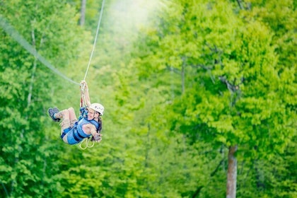 Minnesota's Premiere 7 Line Zipline Experience