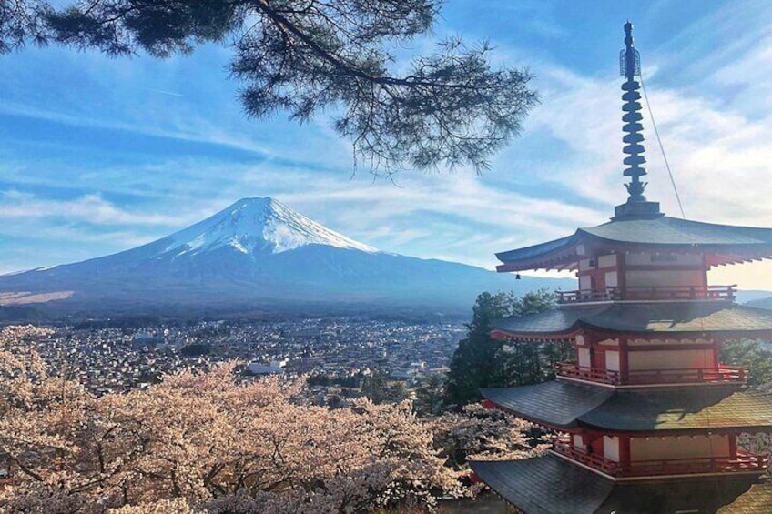 From Tokyo Private Trip to Mount Fuji and Lake Kawaguchi