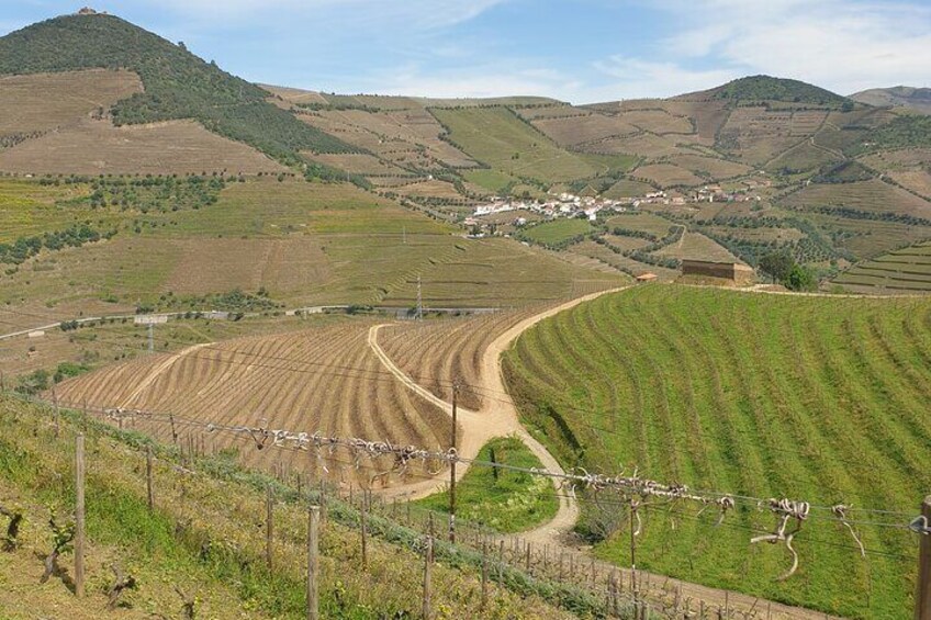 Private Tour of Douro Valley from Porto & Vila Nova de Gaia