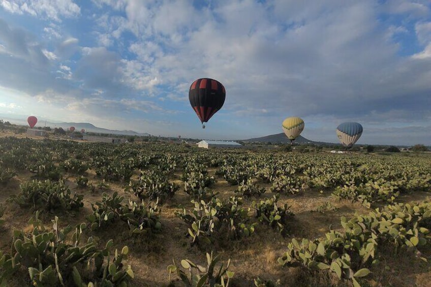 Balloon Flight in Teotihuacan Transportation and Breakfast Included