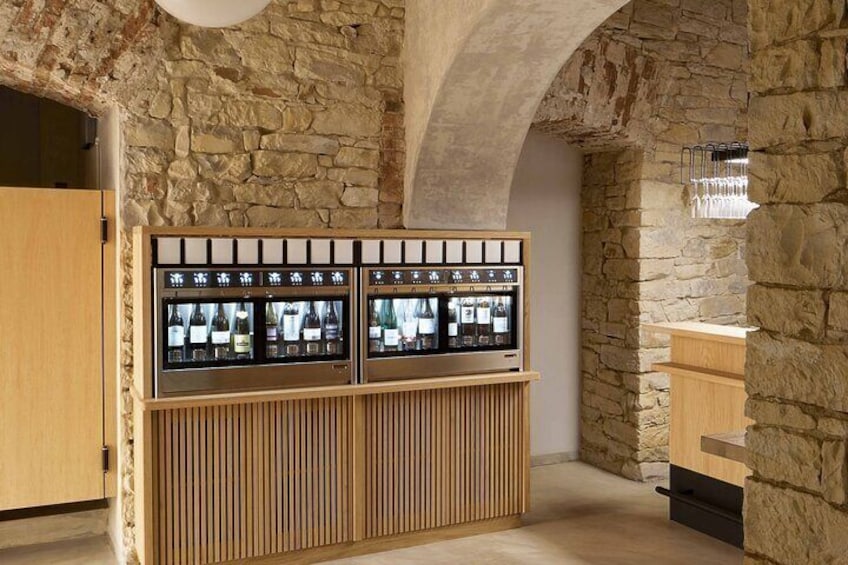 2 Hours Wine Tasting in a Historical Cellar in Krizikova