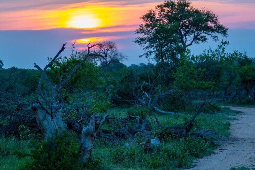 Experience Pilanesberg National Park