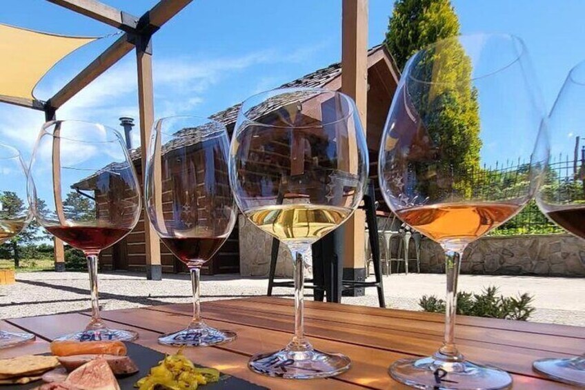 Private and Exclusive Winery Tour with a Wine Expert