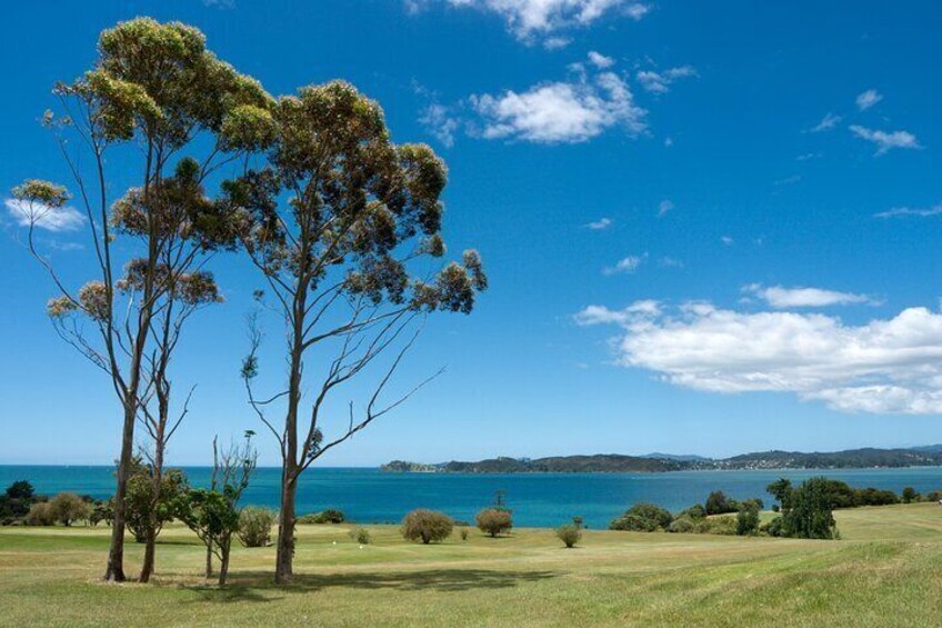 Bay of Islands Scenic Tour 