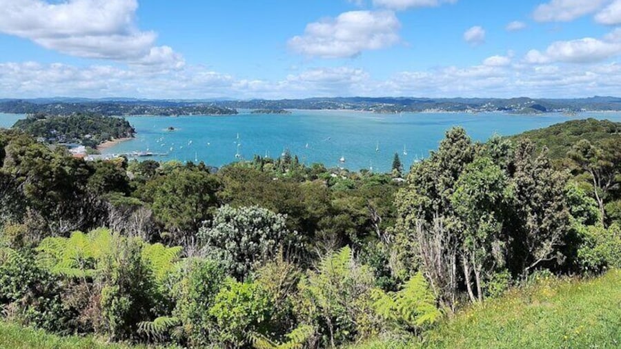 View from the top of Flagstaff Hill. Russell.